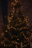 Kerstboom-Int-kerk-8