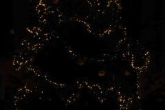 Kerstboom-Int-kerk-9